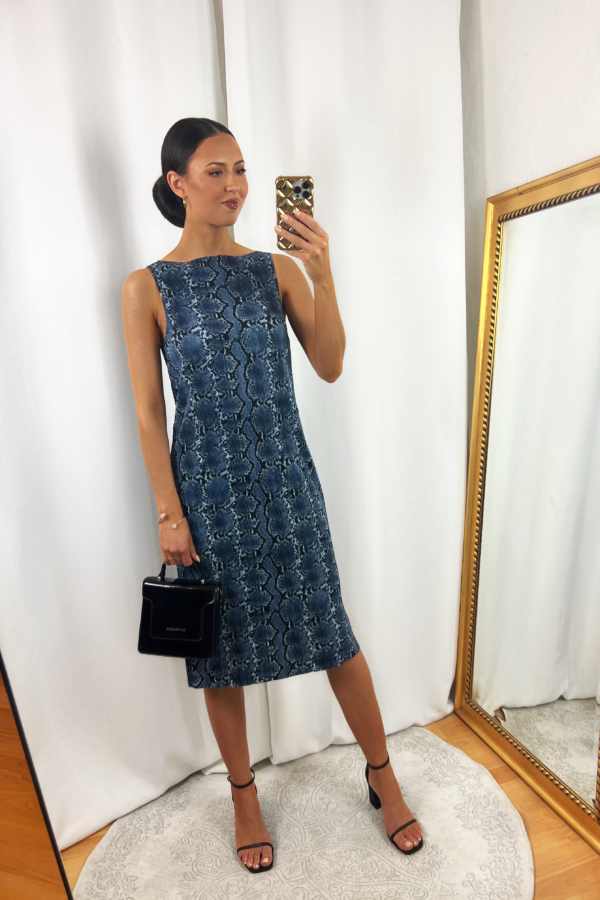 Blue Snake Print Dress Outfit